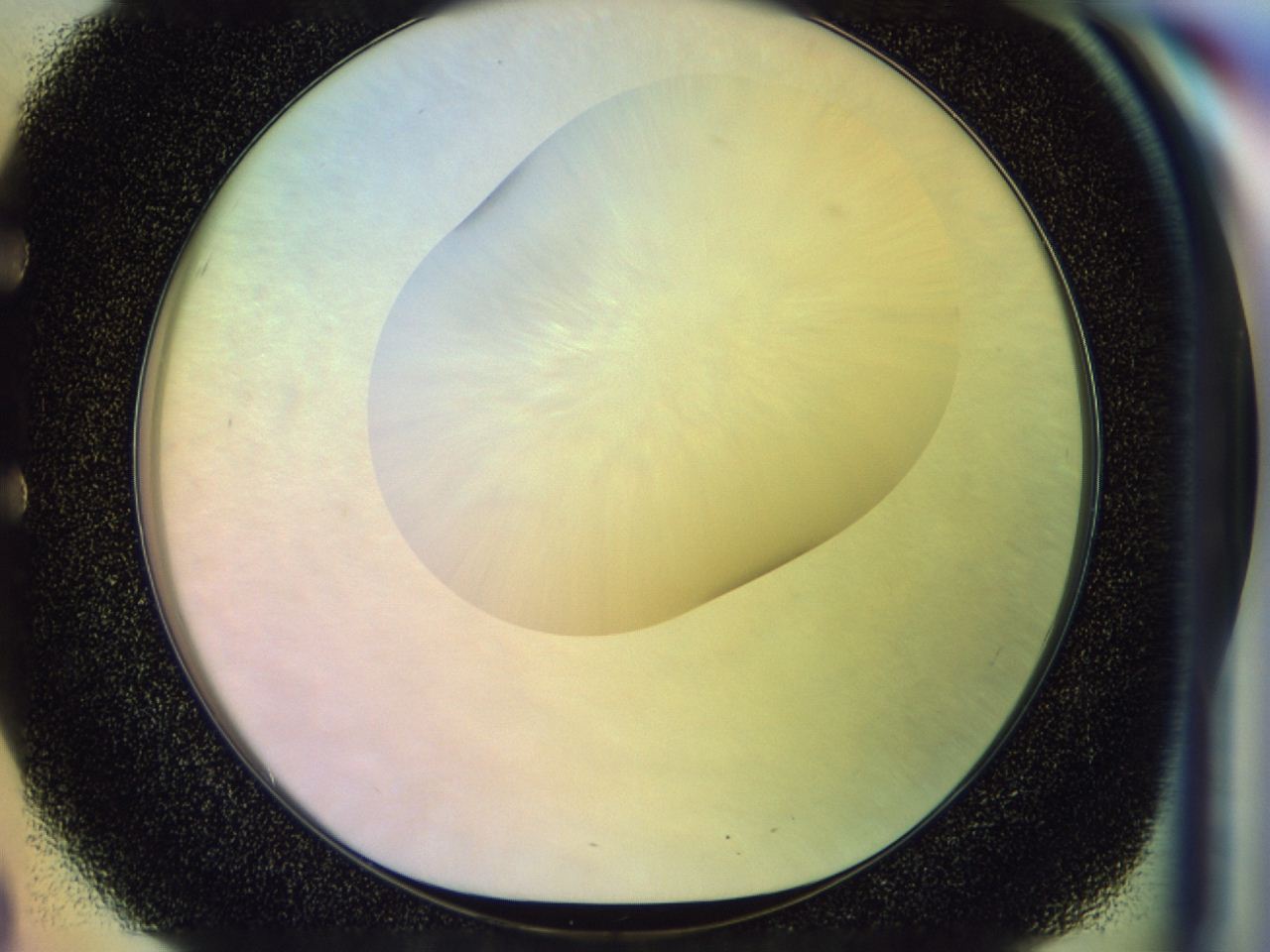 046n_E3_ImagerDefaults_0.jpg