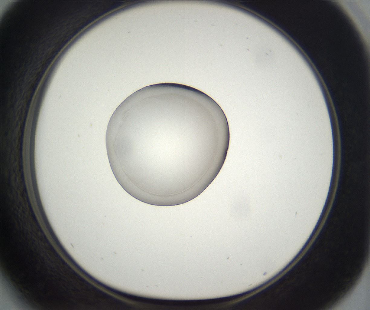 folderID859_plateID2859_batchID15407_wellNum41_profileID1_d1_r234920_ef.jpg