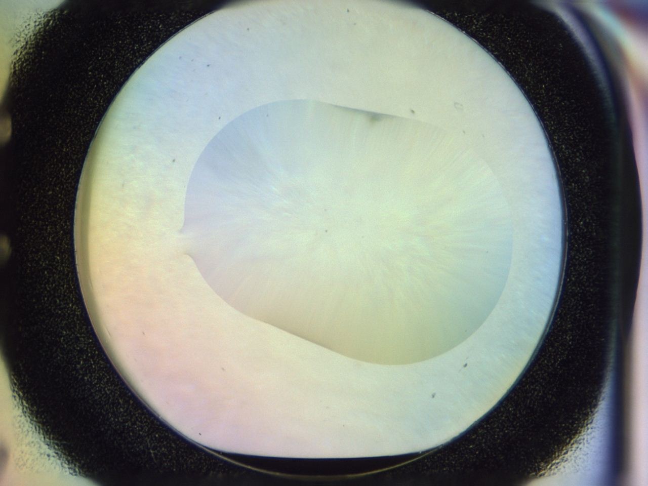 046n_E7_ImagerDefaults_0.jpg