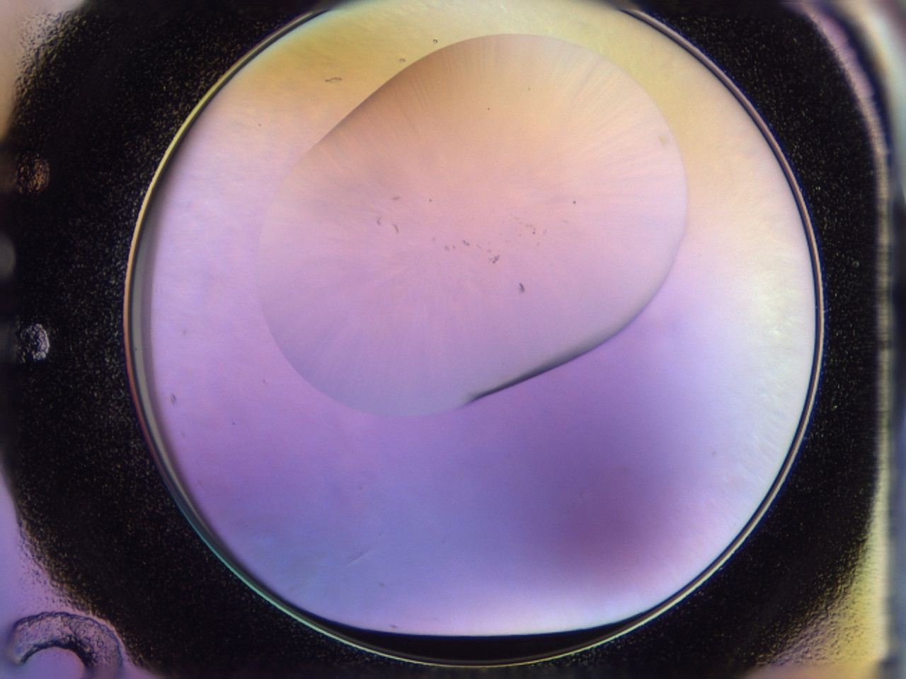 046n_E12_ImagerDefaults_0.jpg