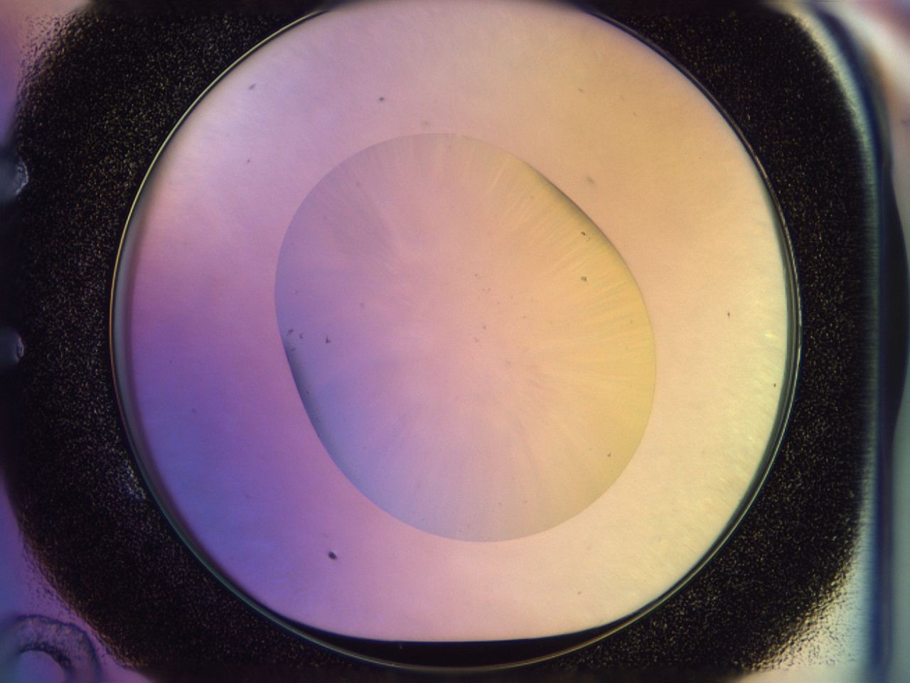 046n_E10_ImagerDefaults_0.jpg