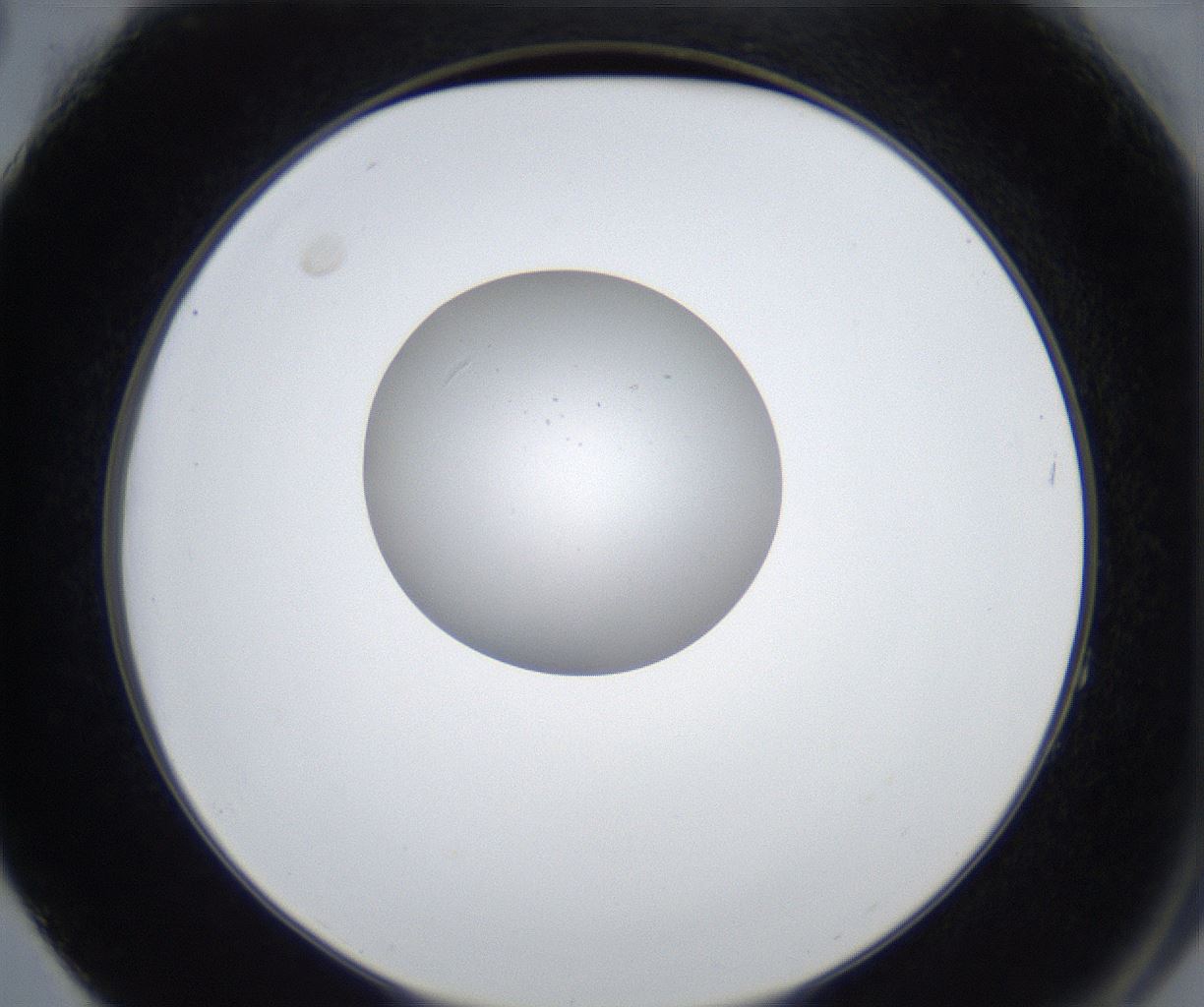 folderID860_plateID2860_batchID15406_wellNum64_profileID1_d2_r234007_ef.jpg