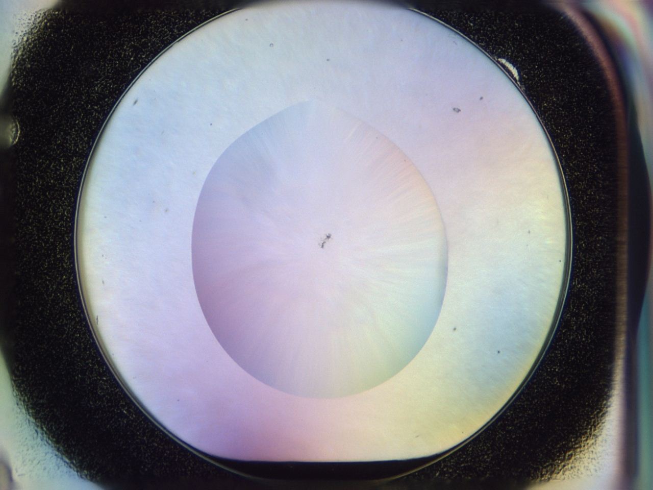 046n_F9_ImagerDefaults_0.jpg