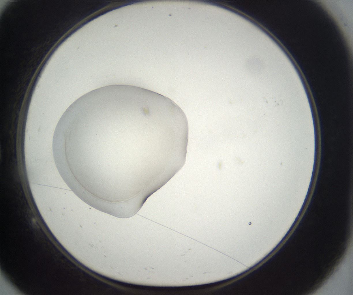 folderID861_plateID2861_batchID15409_wellNum9_profileID1_d1_r235048_ef.jpg