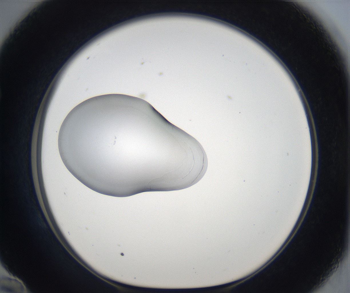 folderID862_plateID2862_batchID15411_wellNum58_profileID1_d1_r234186_ef.jpg