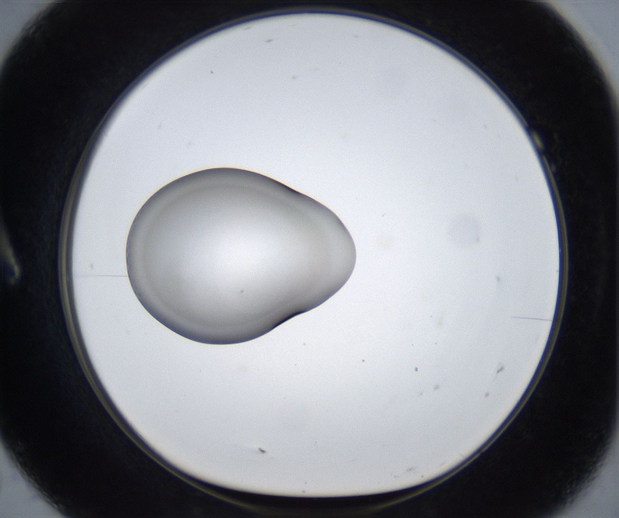folderID862_plateID2862_batchID15411_wellNum7_profileID1_d1_r234084_ef.jpg