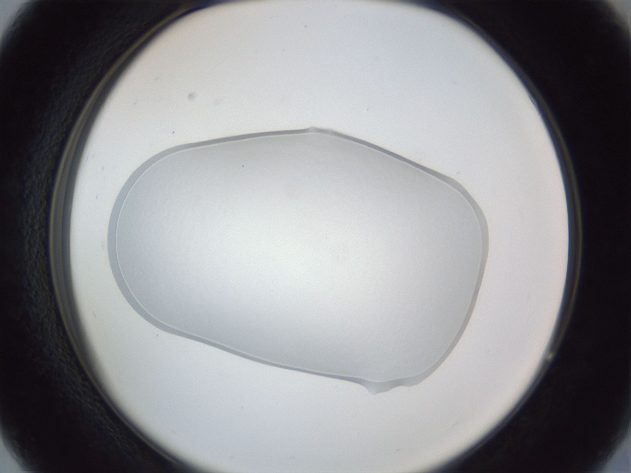 folderID86_plateID1086_batchID2500_wellNum27_profileID1_d2_r51114_ef.jpg