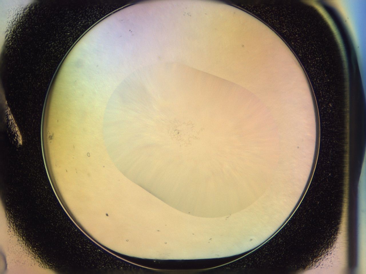 046n_A8_ImagerDefaults_0.jpg