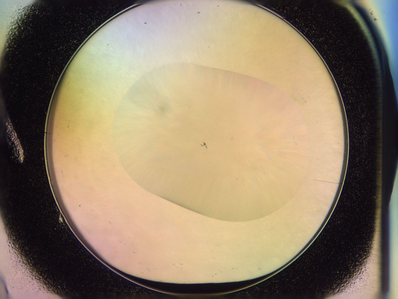 046n_A9_ImagerDefaults_0.jpg