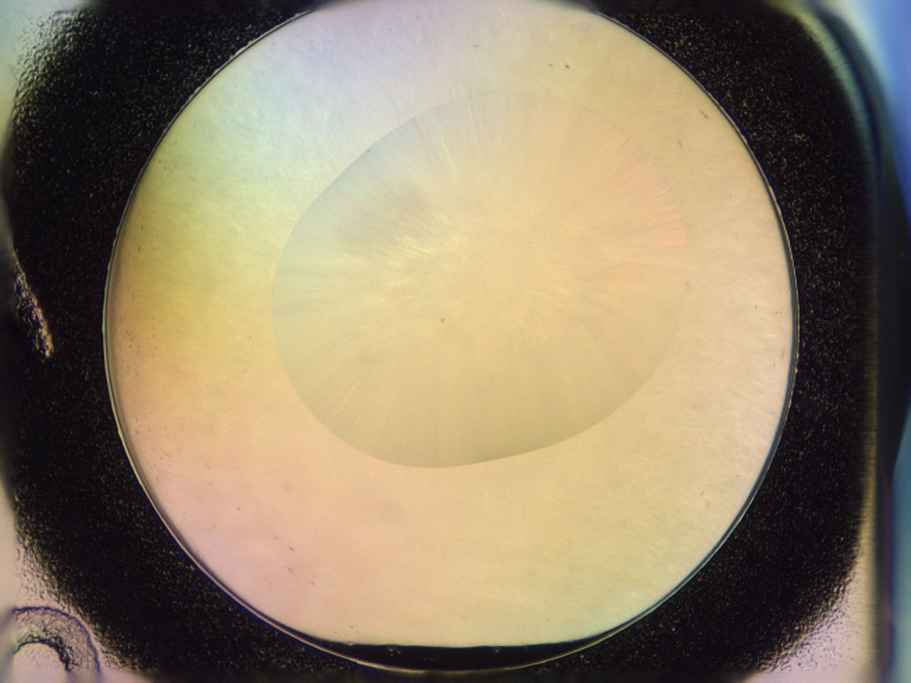046n_A10_ImagerDefaults_0.jpg