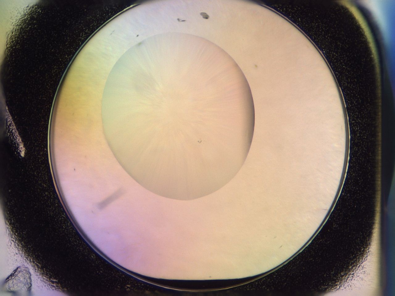046n_A11_ImagerDefaults_0.jpg