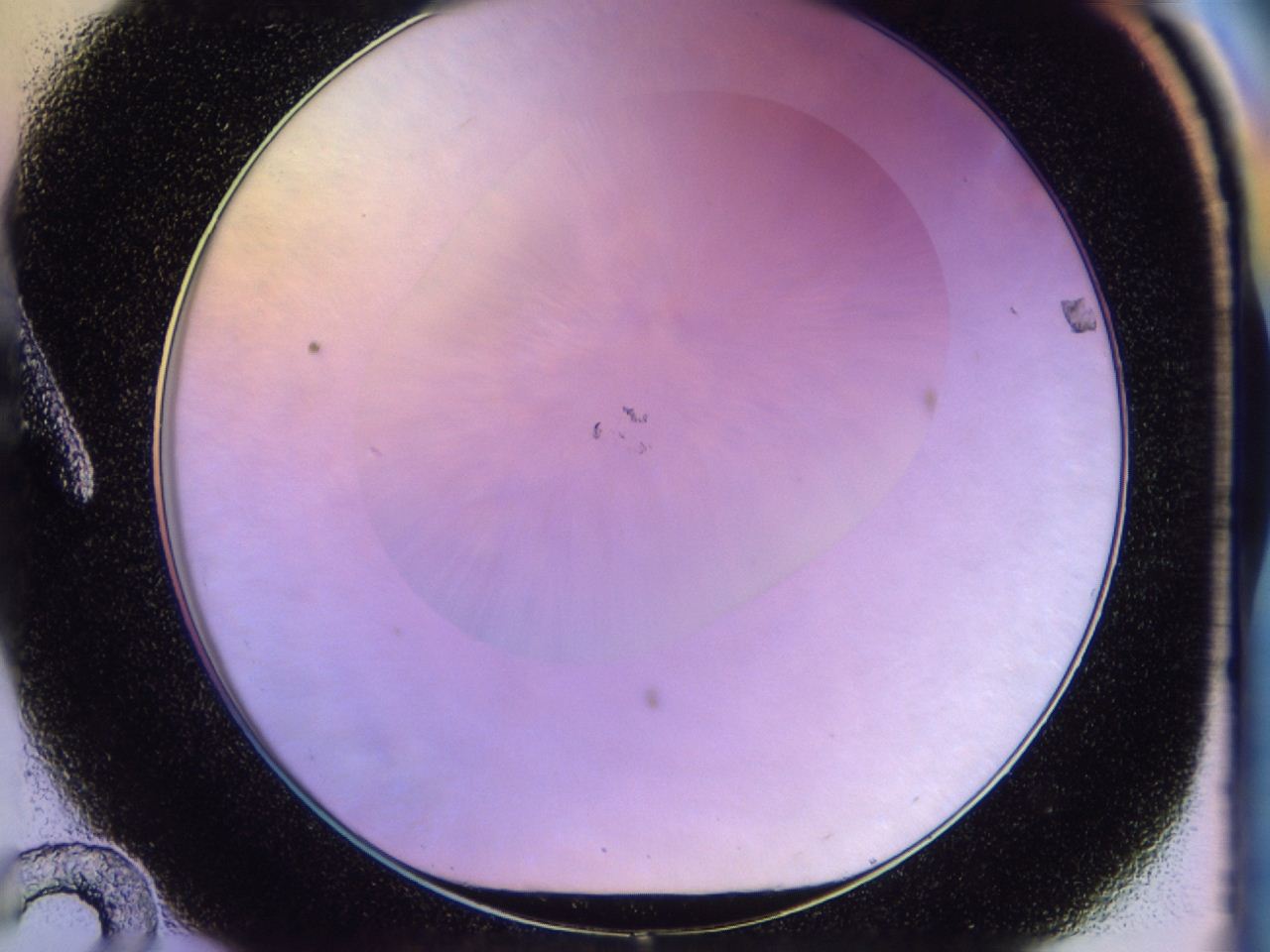 046n_A12_ImagerDefaults_0.jpg