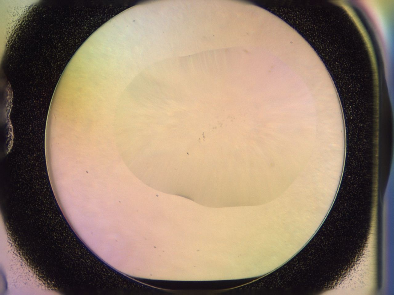 046n_B8_ImagerDefaults_0.jpg