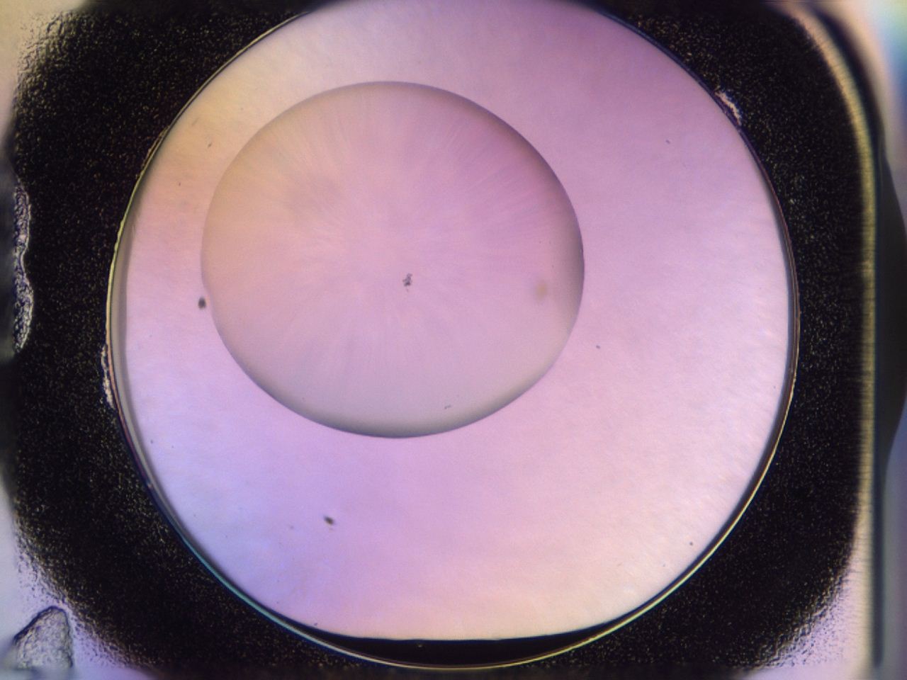 046n_B11_ImagerDefaults_0.jpg
