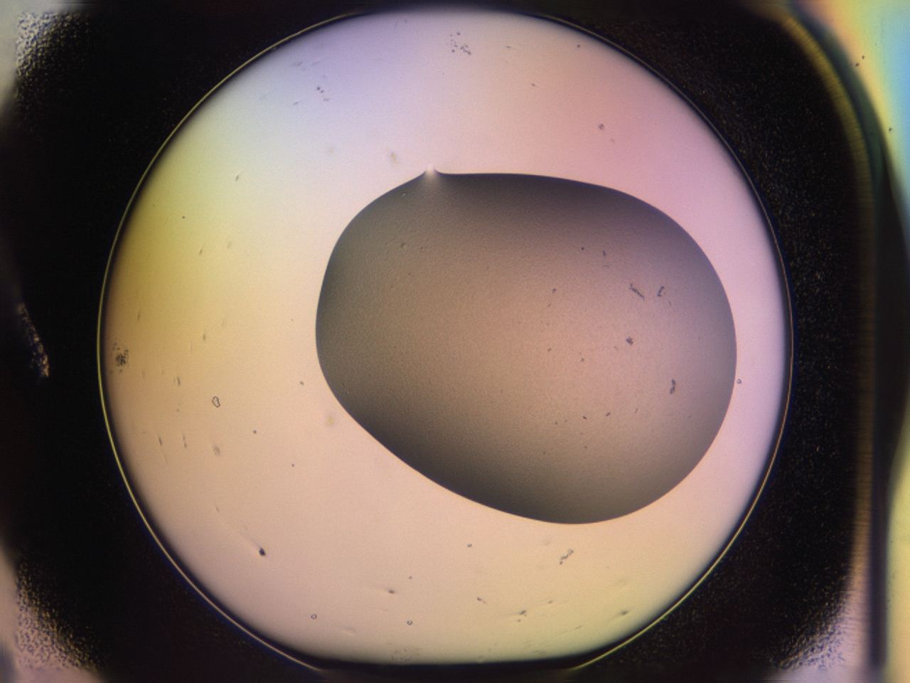 046o_A8_ImagerDefaults_1.jpg