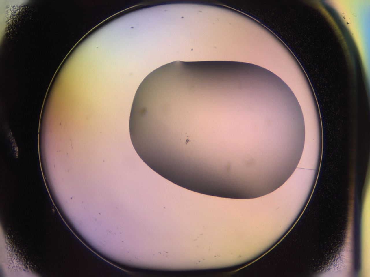 046o_A9_ImagerDefaults_0.jpg