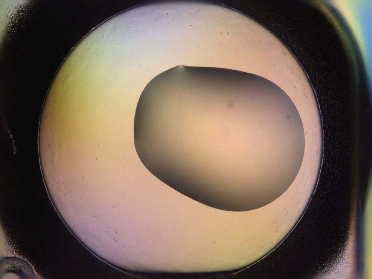 046o_A10_ImagerDefaults_0.jpg