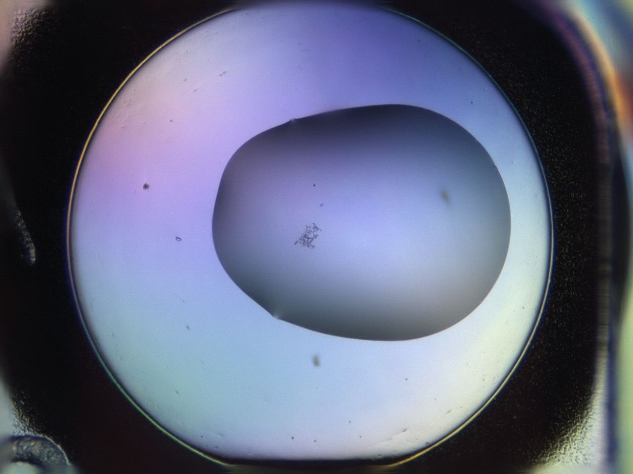 046o_A12_ImagerDefaults_1.jpg