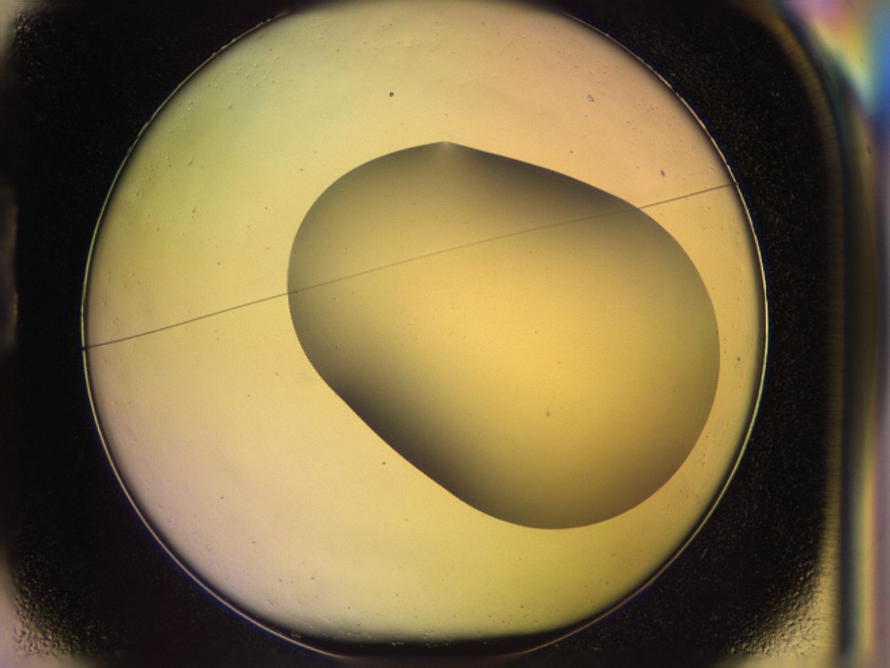 046o_B1_ImagerDefaults_0.jpg