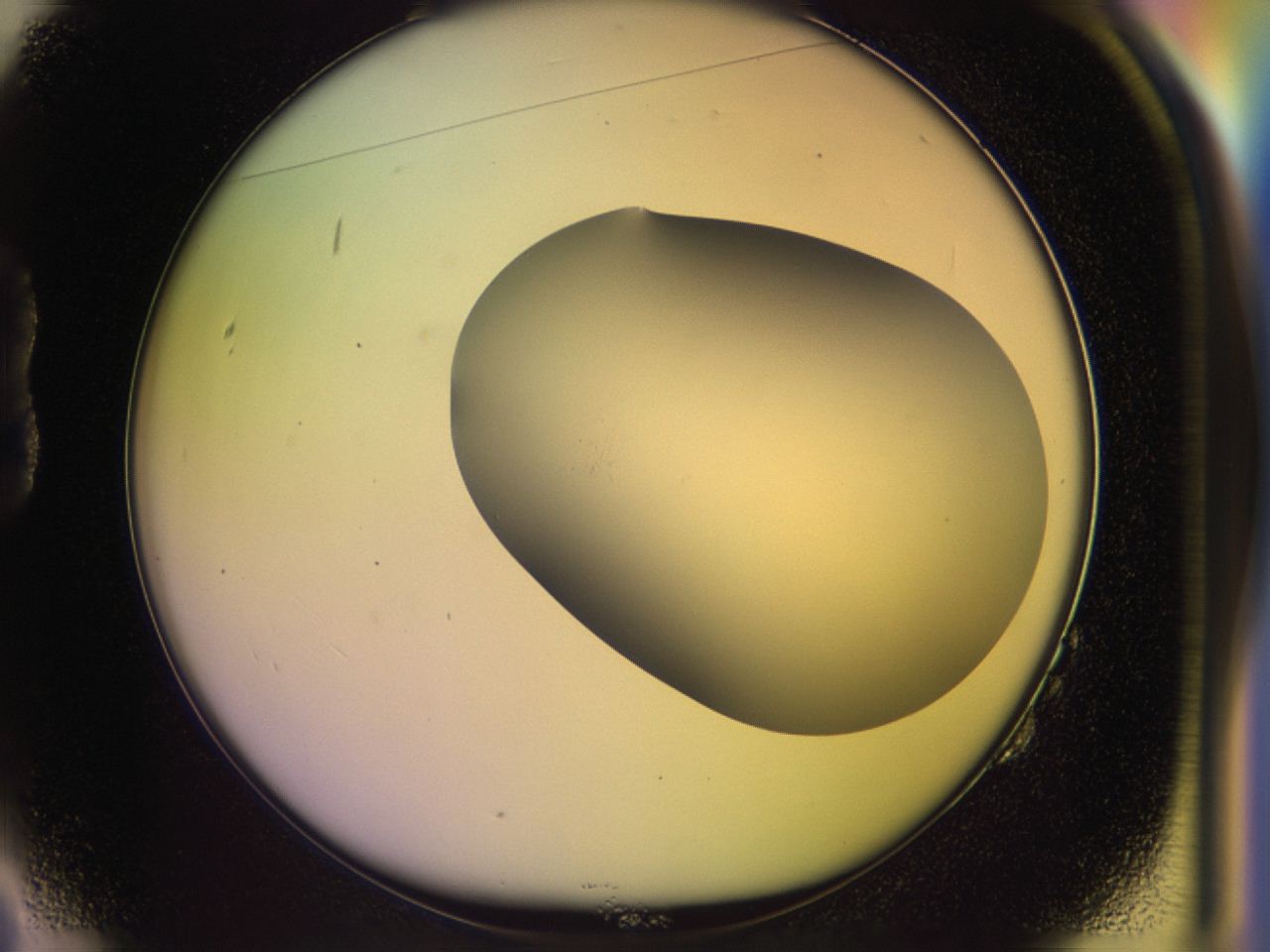 046o_B2_ImagerDefaults_0.jpg