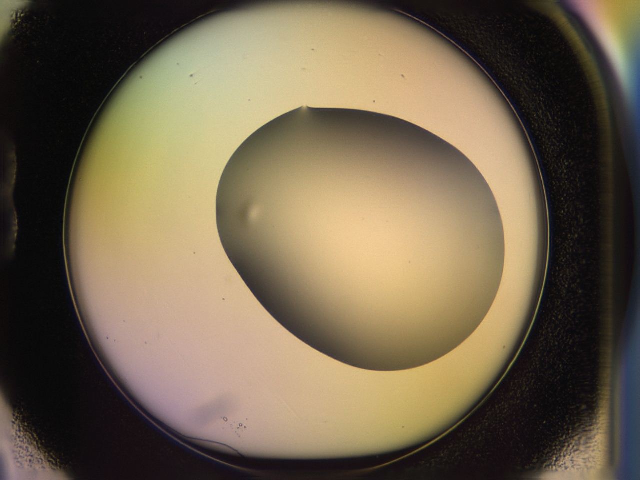 046o_B3_ImagerDefaults_0.jpg
