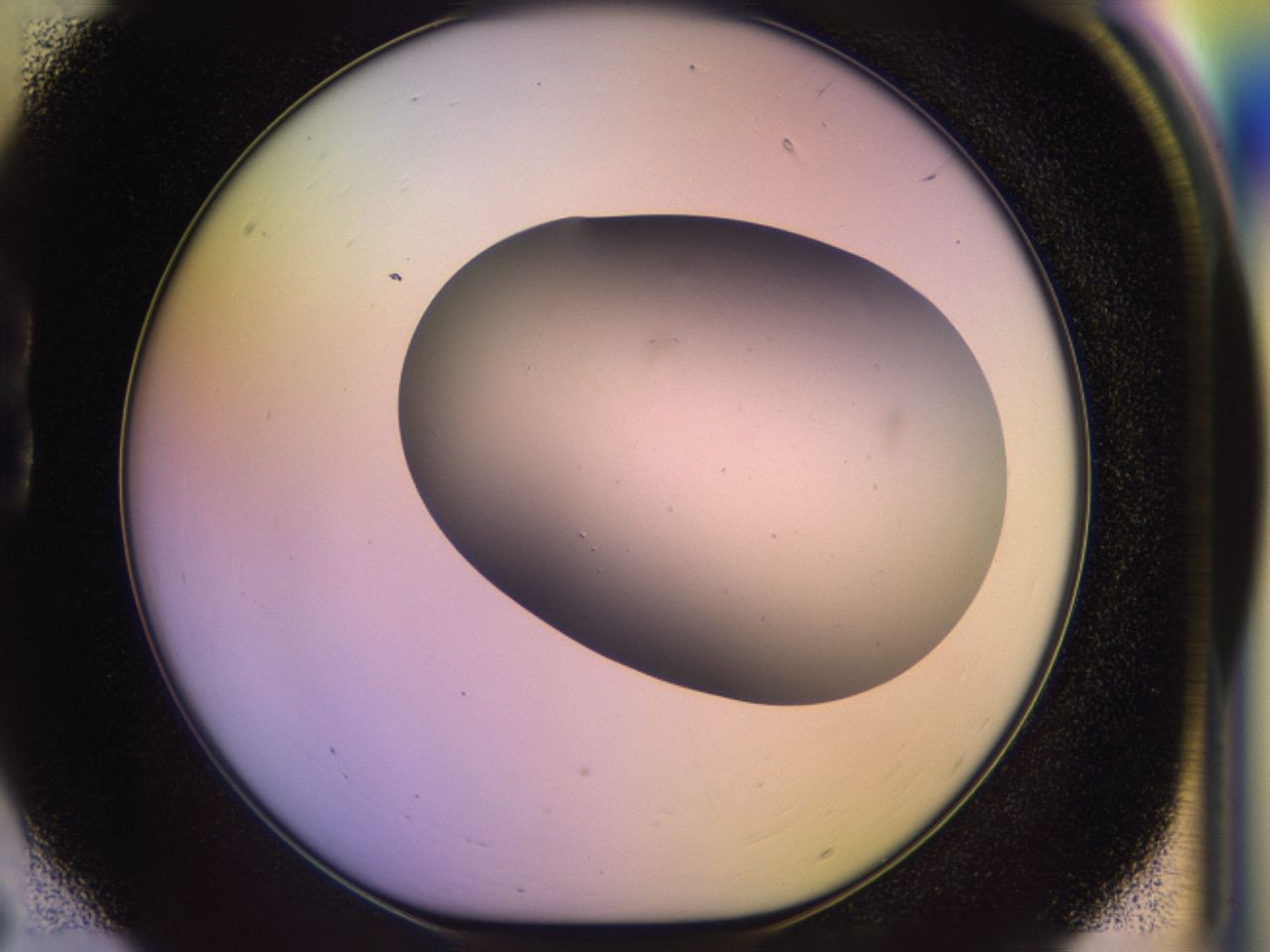 046o_B6_ImagerDefaults_0.jpg