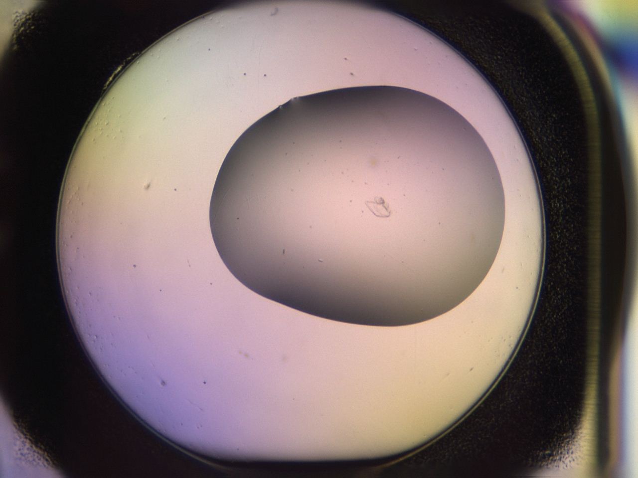 046o_C4_ImagerDefaults_1.jpg