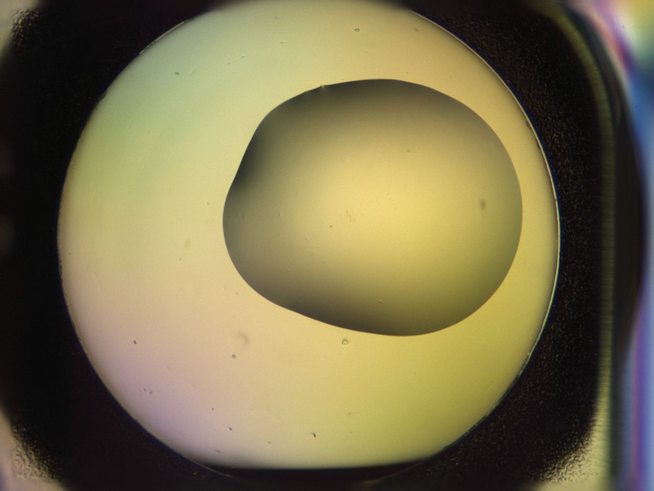 046o_C2_ImagerDefaults_0.jpg