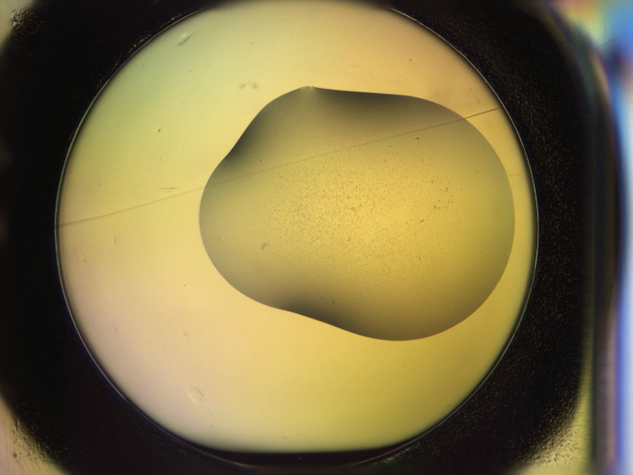 046o_C1_ImagerDefaults_0.jpg