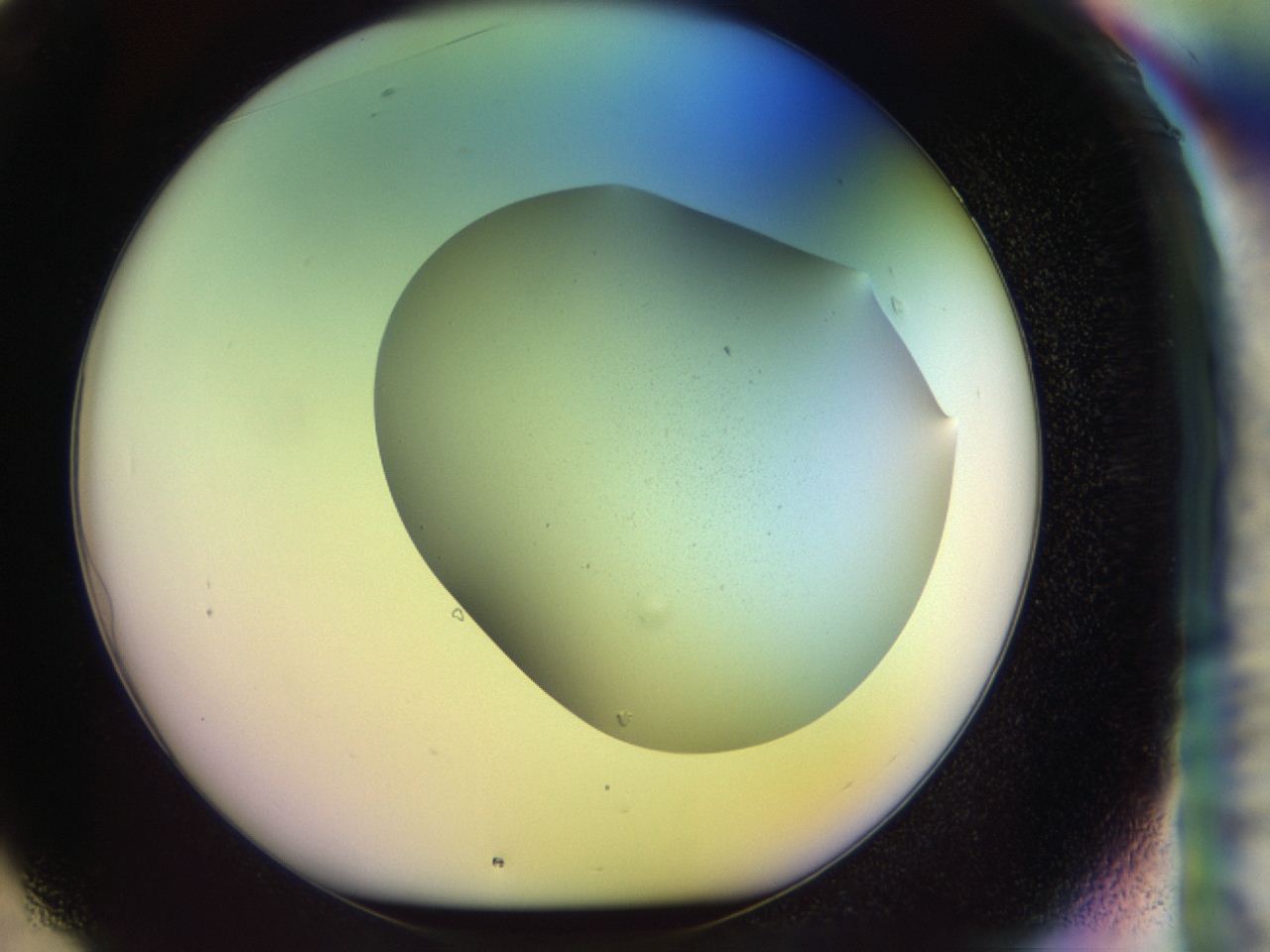 046o_F1_ImagerDefaults_0.jpg
