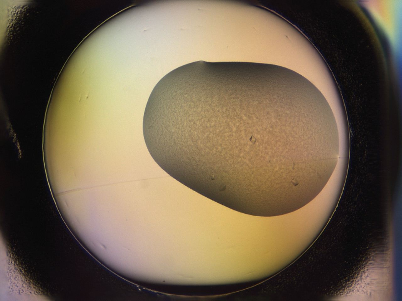046o_A1_ImagerDefaults_6.jpg