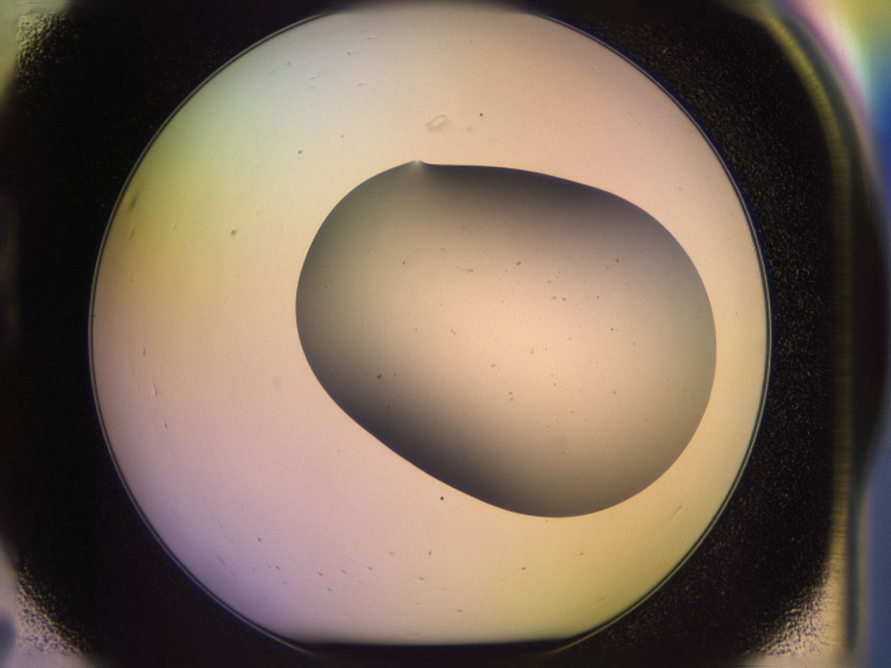 046o_B7_ImagerDefaults_0.jpg