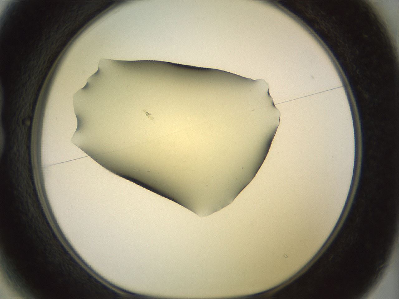 folderID903_plateID1903_batchID8141_wellNum13_profileID1_d1_r127487_ef.jpg