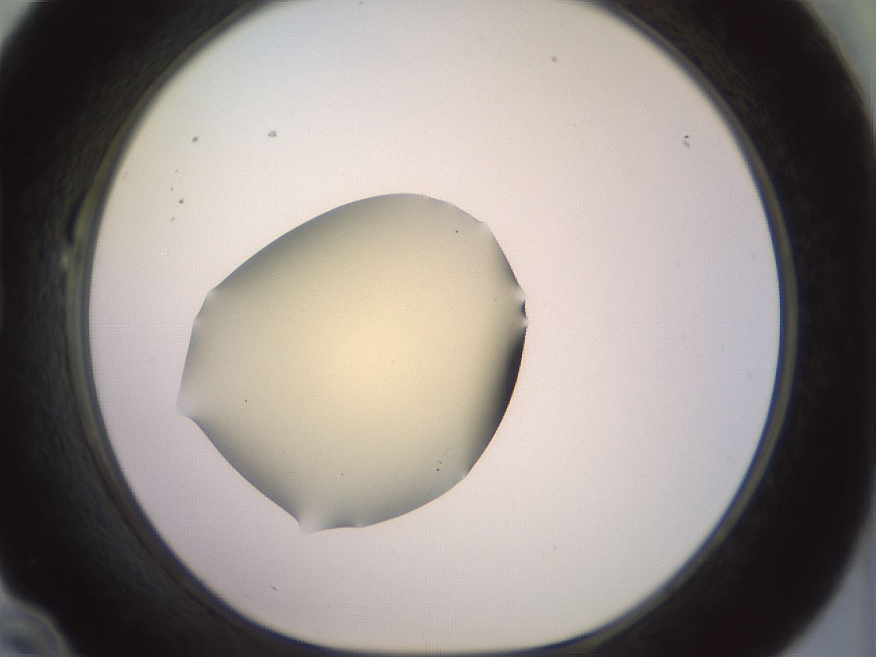 folderID903_plateID1903_batchID8141_wellNum22_profileID1_d1_r127496_ef.jpg
