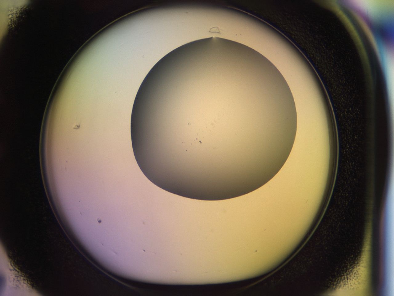046o_C7_ImagerDefaults_0.jpg