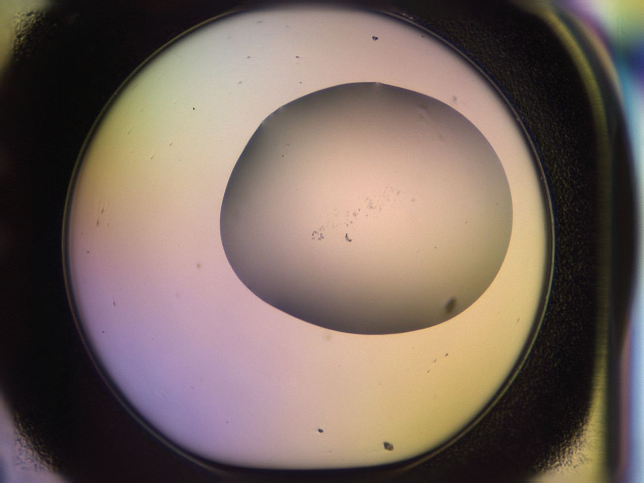 046o_C8_ImagerDefaults_0.jpg