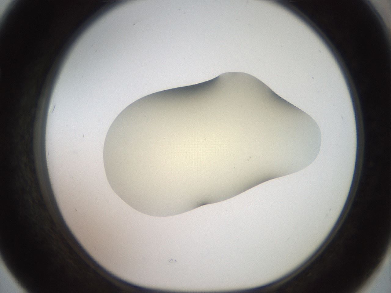 folderID905_plateID1905_batchID8130_wellNum67_profileID1_d1_r127253_ef.jpg