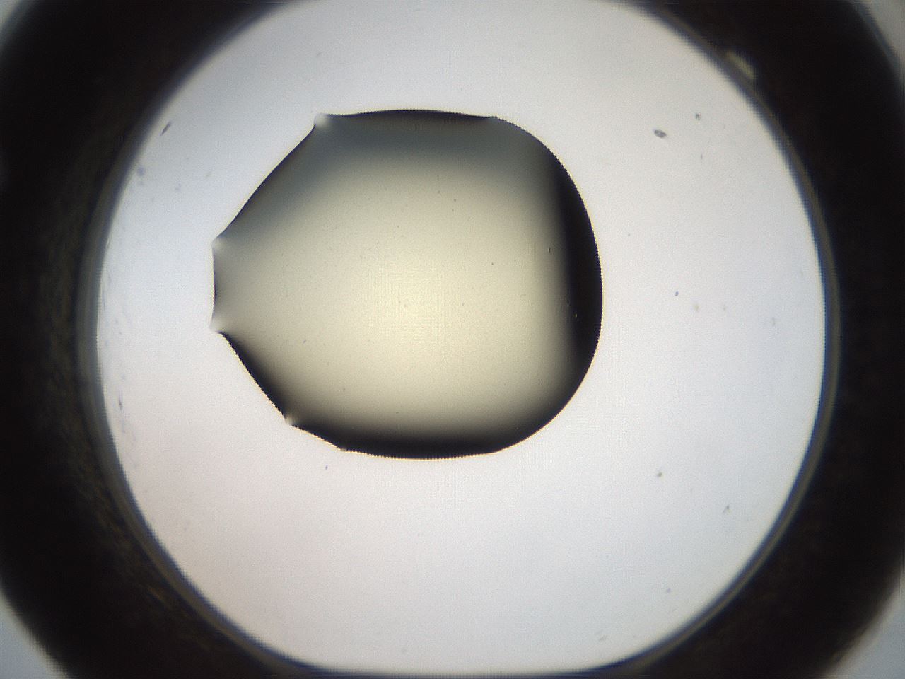 folderID906_plateID1906_batchID8136_wellNum69_profileID1_d1_r127063_ef.jpg