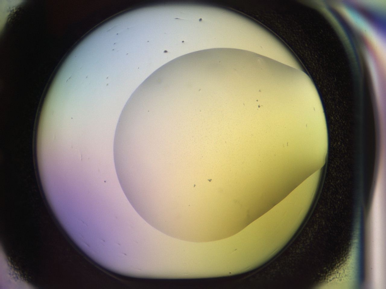 046o_E8_ImagerDefaults_0.jpg