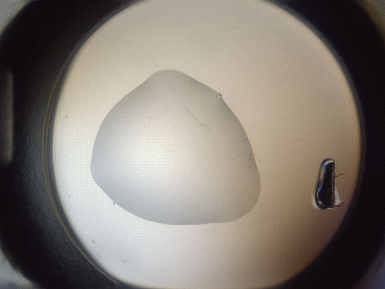 folderID90_plateID1090_batchID2532_wellNum96_profileID1_d1_r48563_ef.jpg