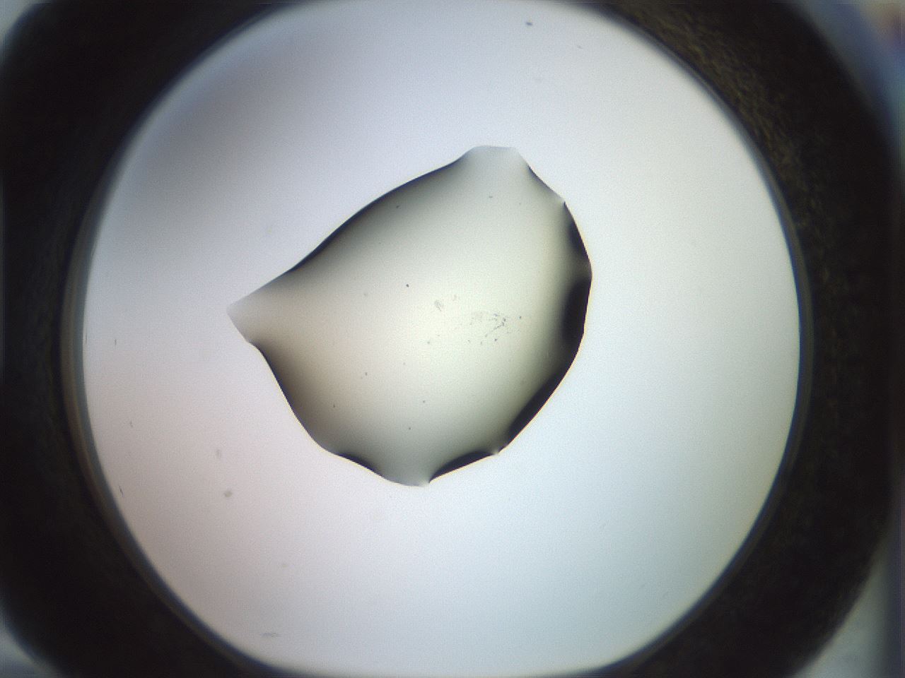 folderID909_plateID1909_batchID8142_wellNum94_profileID1_d1_r127664_ef.jpg