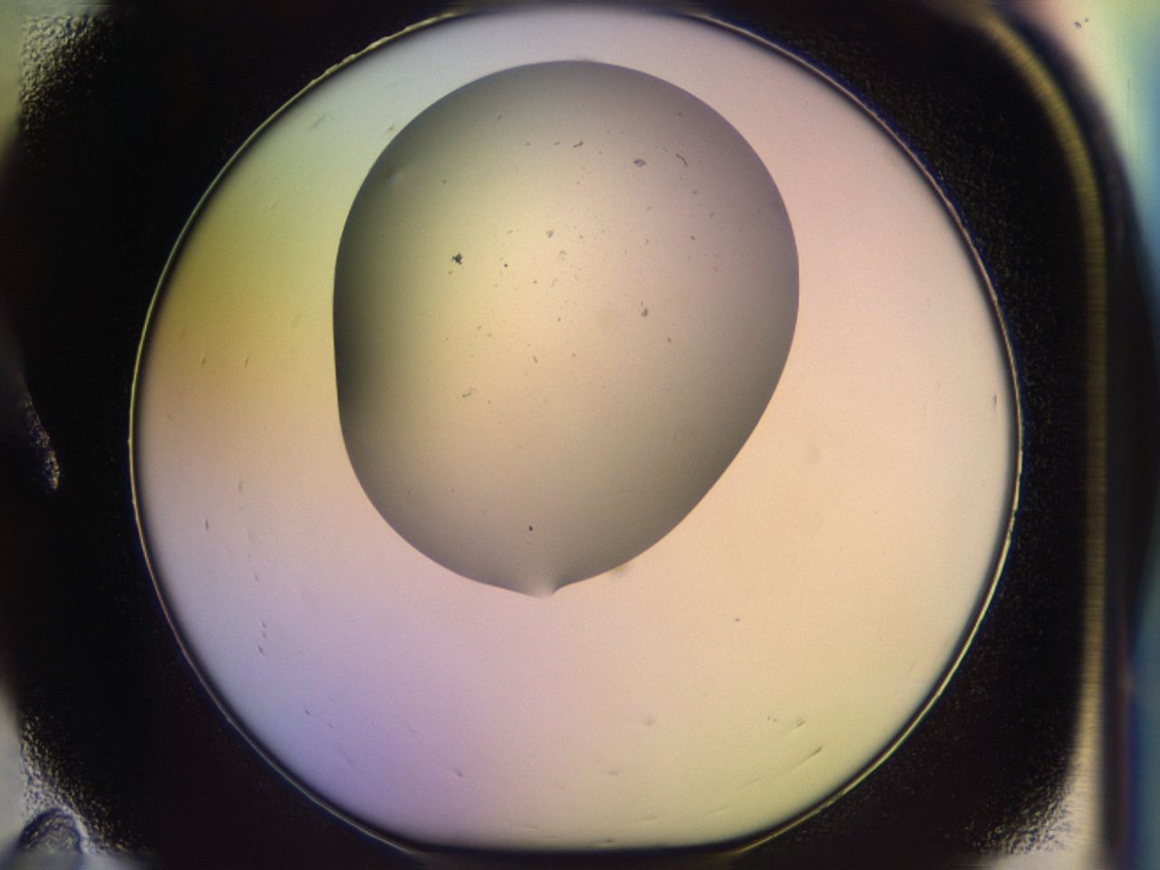 046p_A11_ImagerDefaults_0.jpg