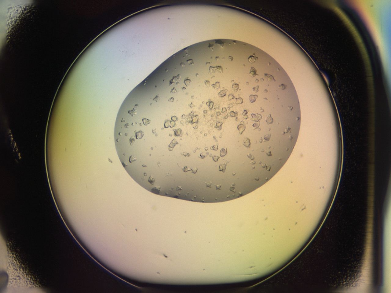 046p_A7_ImagerDefaults_6.jpg