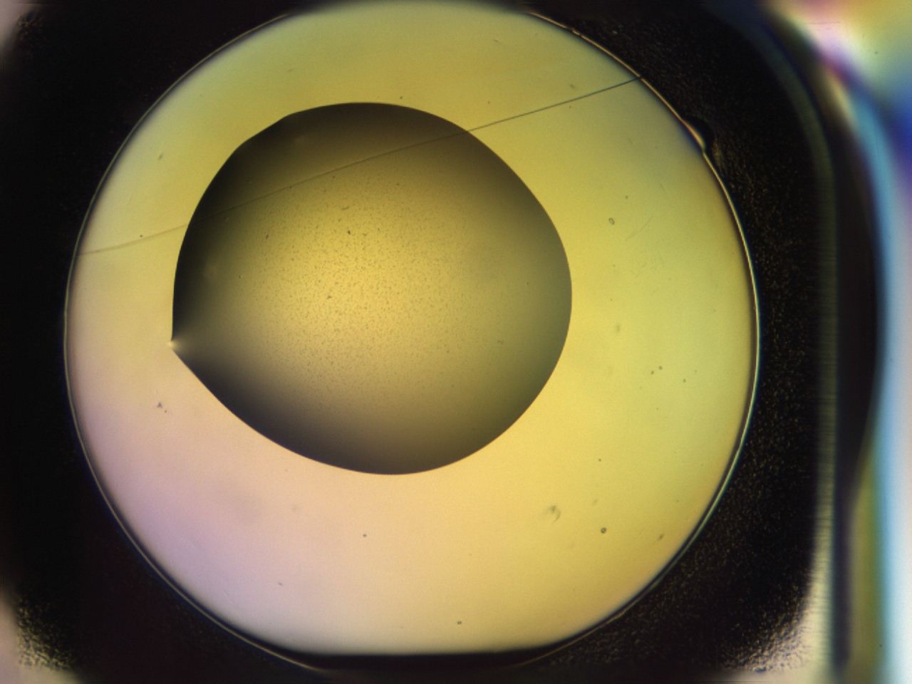046p_E1_ImagerDefaults_0.jpg