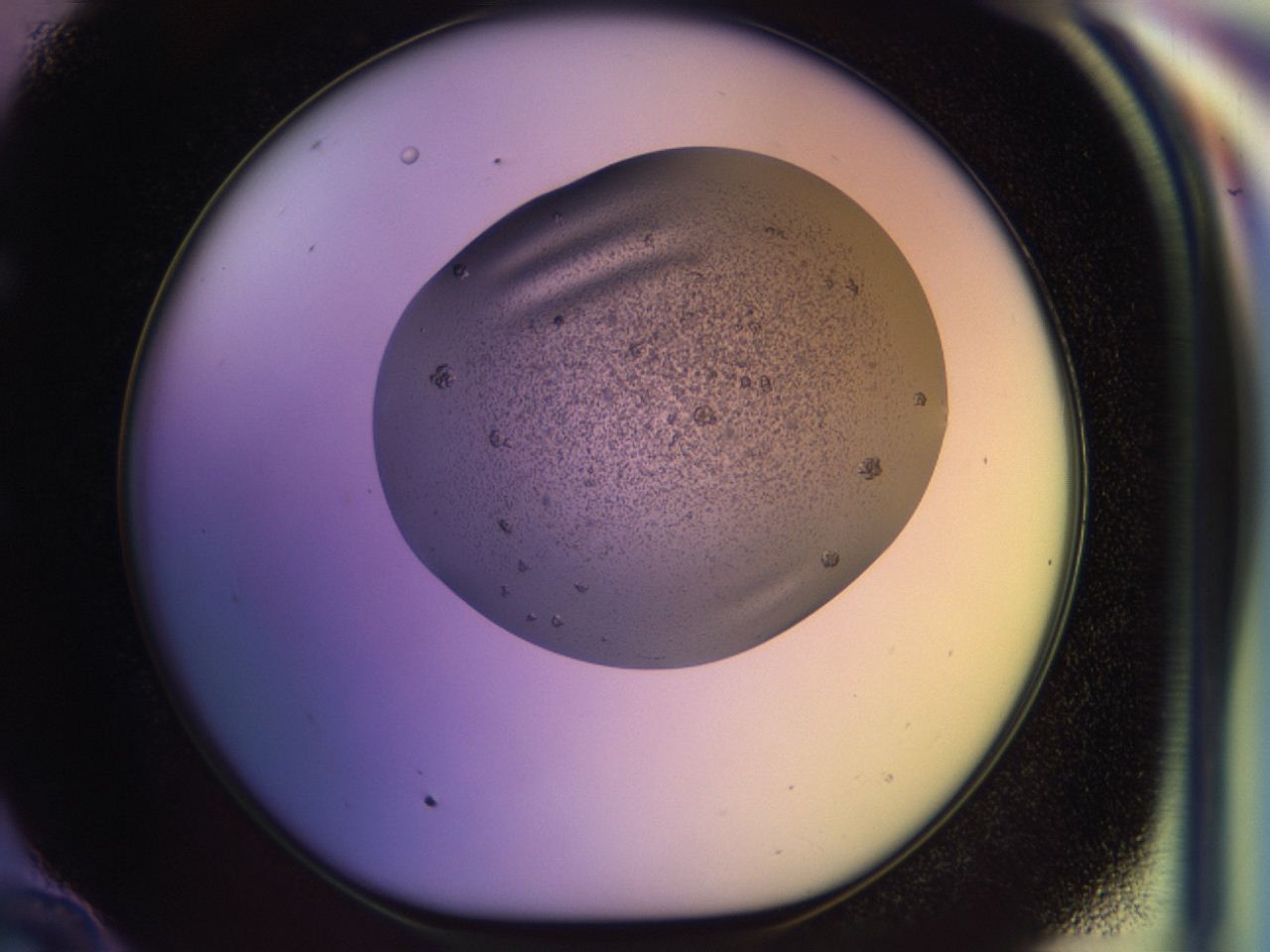 046p_E10_ImagerDefaults_6.jpg
