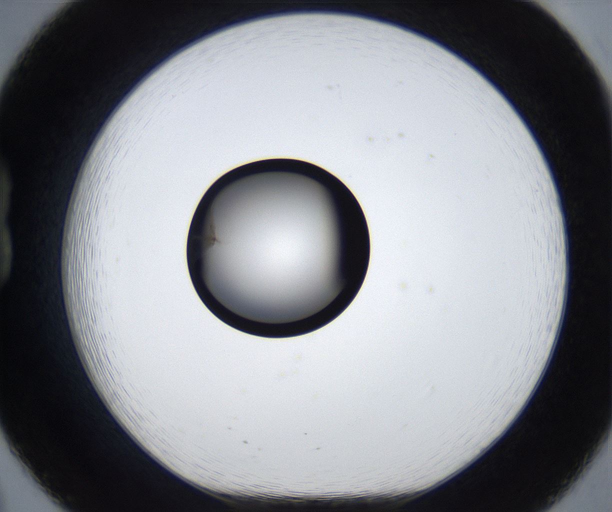 folderID913_plateID2913_batchID15761_wellNum20_profileID1_d1_r238914_ef.jpg