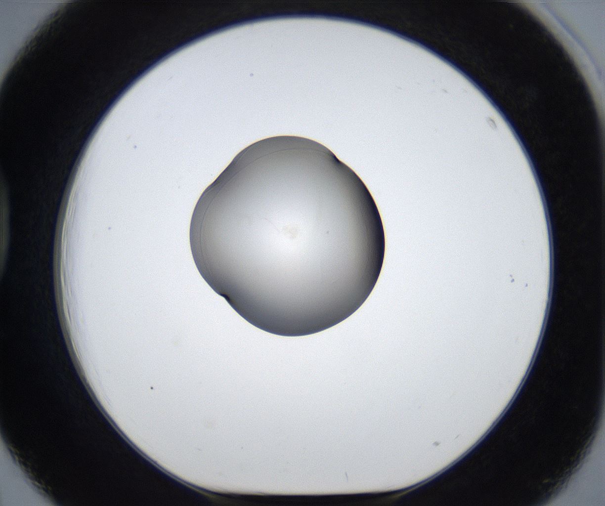 folderID913_plateID2913_batchID15761_wellNum39_profileID1_d1_r238952_ef.jpg