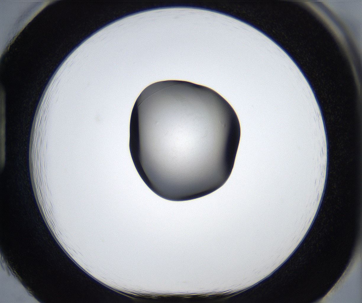 folderID913_plateID2913_batchID15761_wellNum85_profileID1_d1_r239044_ef.jpg