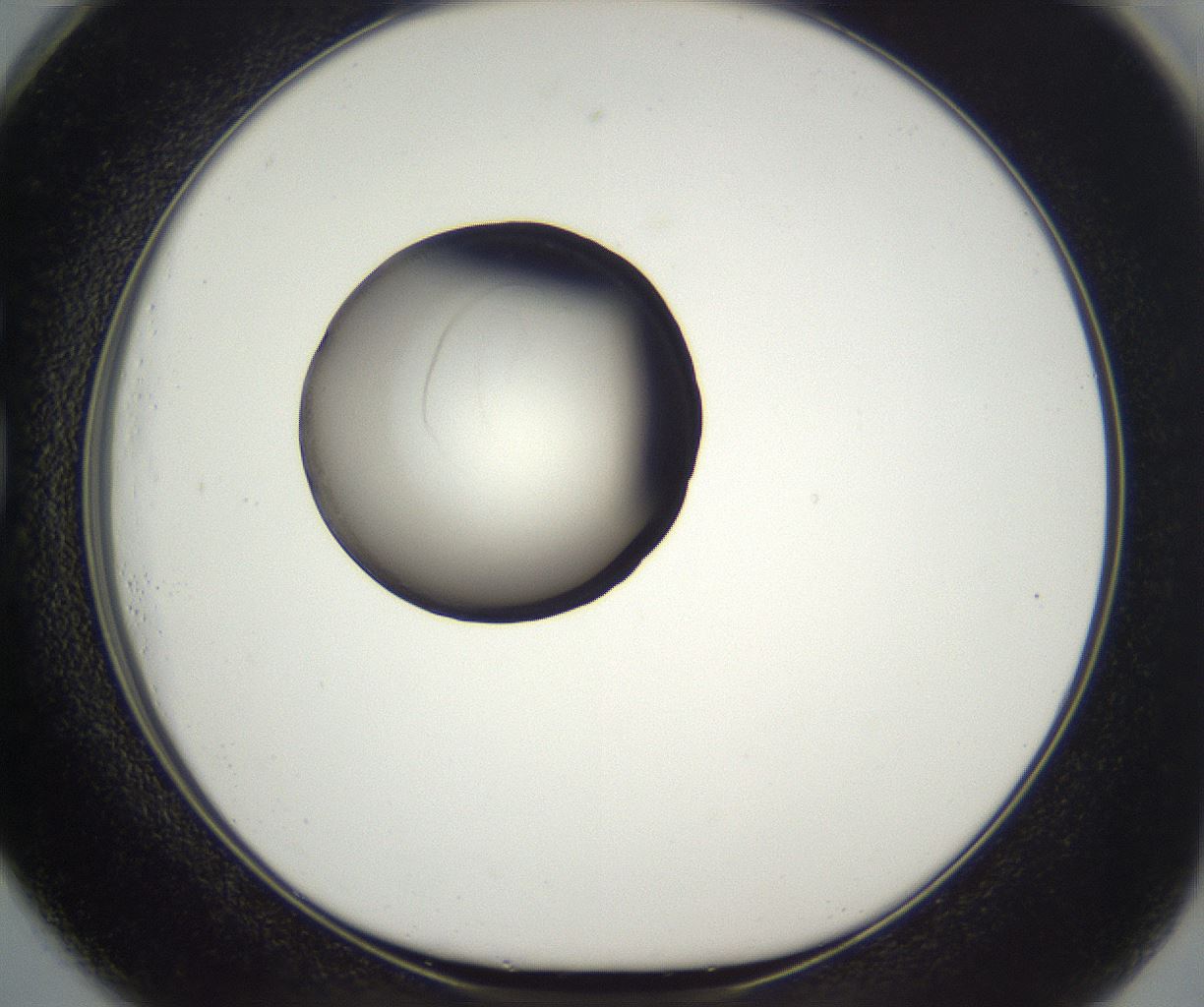 folderID914_plateID2914_batchID15764_wellNum73_profileID1_d1_r240652_ef.jpg