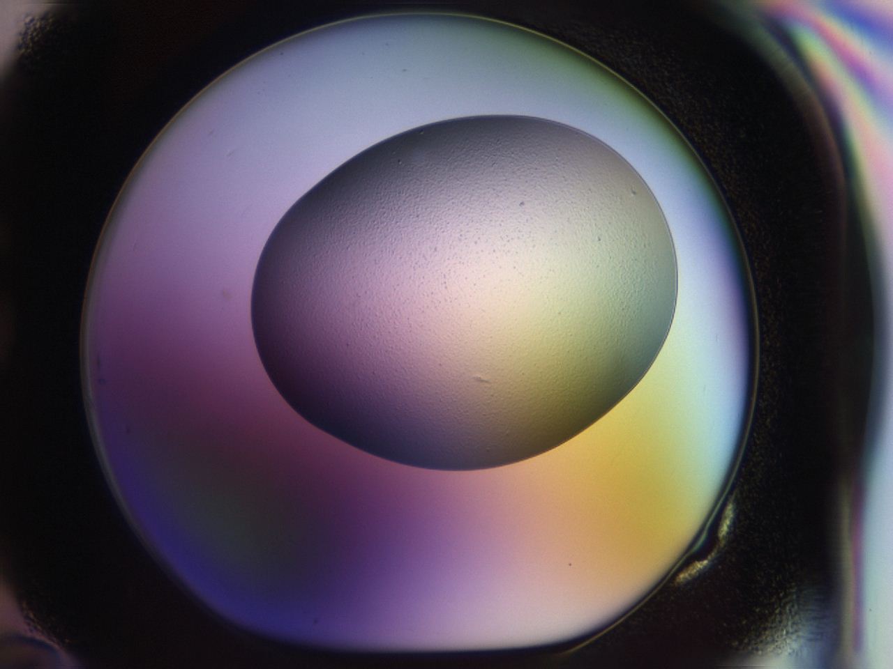 046p_G10_ImagerDefaults_0.jpg